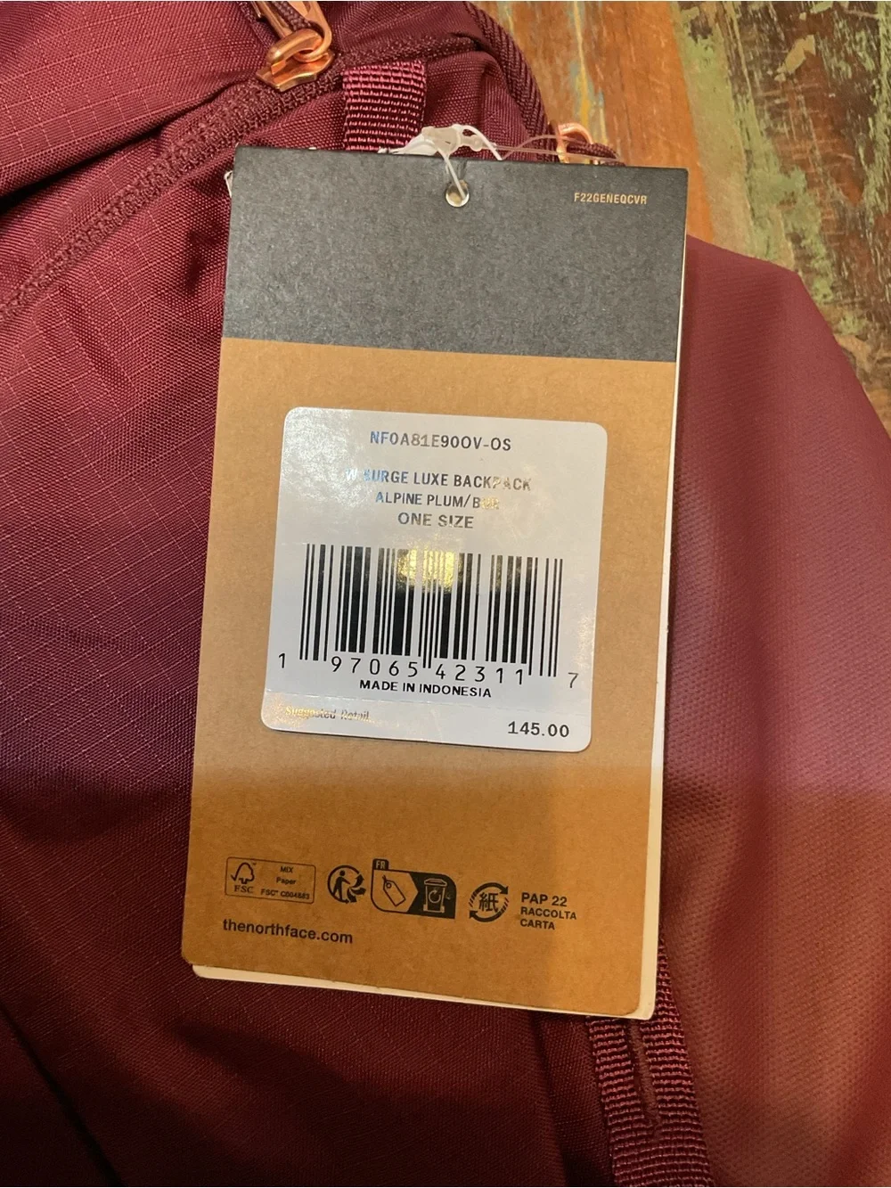 NWT North Face Women’s Surge Luxe Backpack